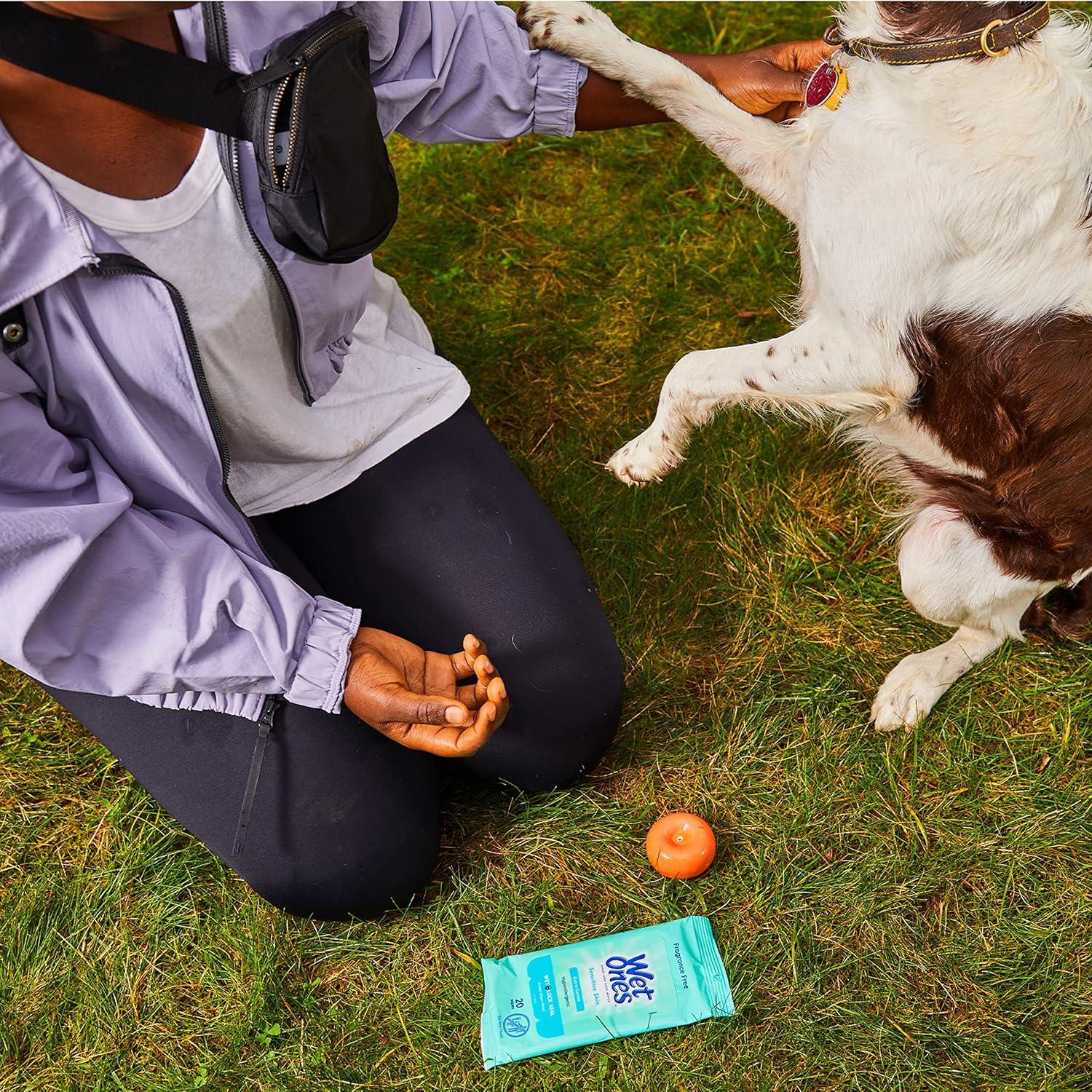 Toallitas Húmedas Wet Ones Piel Sensible 20 Unidades Viaje