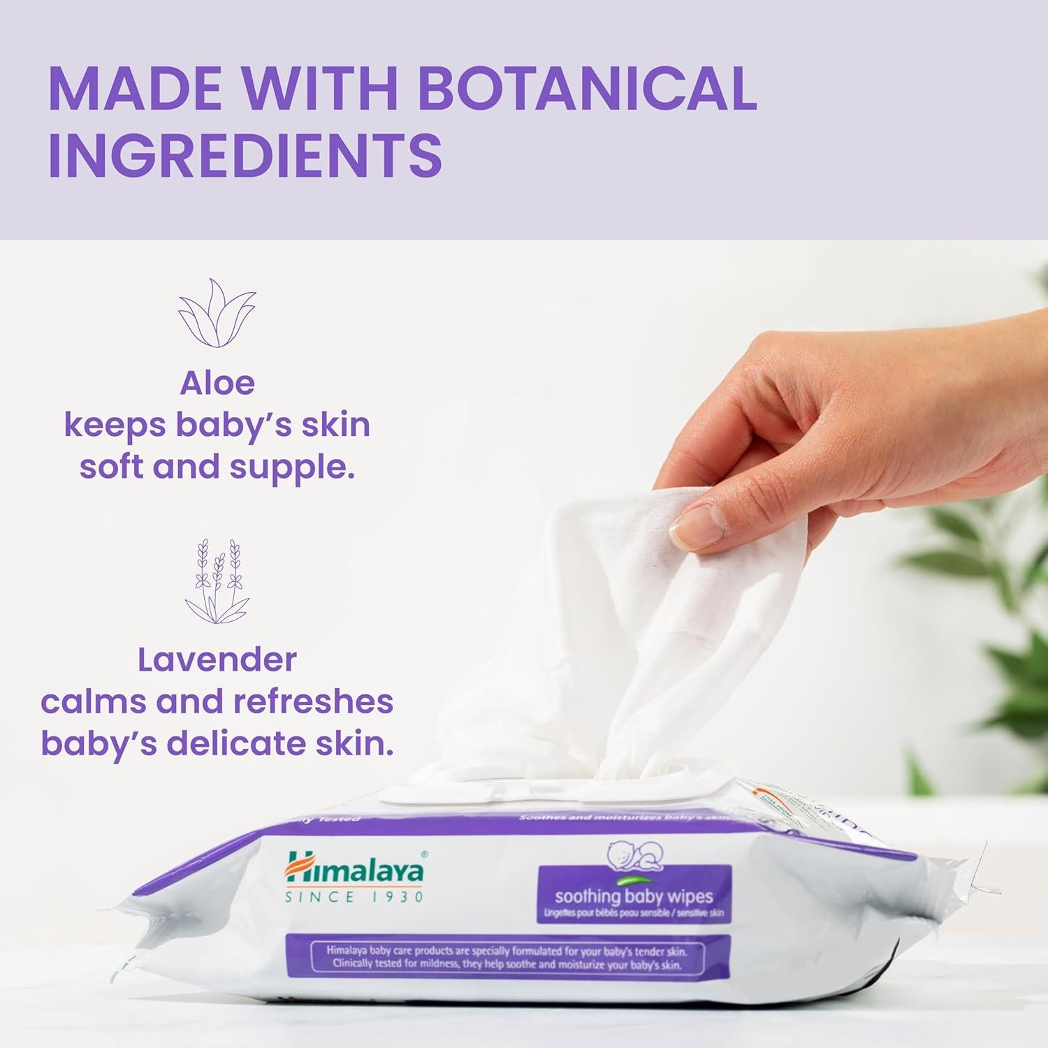 Toallitas Calmantes para Bebés Himalaya - 72 Unidades, Aloe Vera y Lavanda