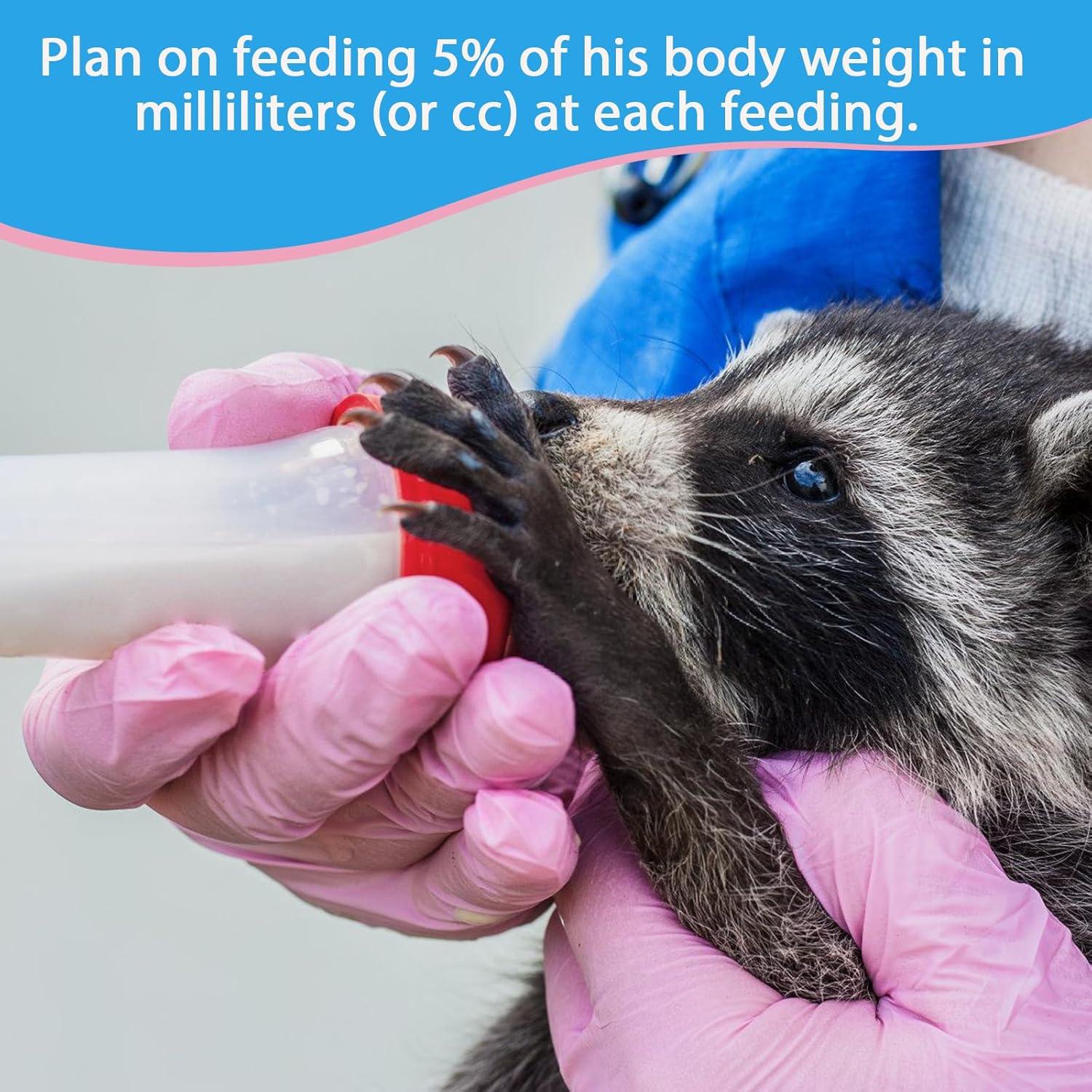 Fórmula de Reemplazo de Leche para Mapaches Guanshiya 0.45 kg