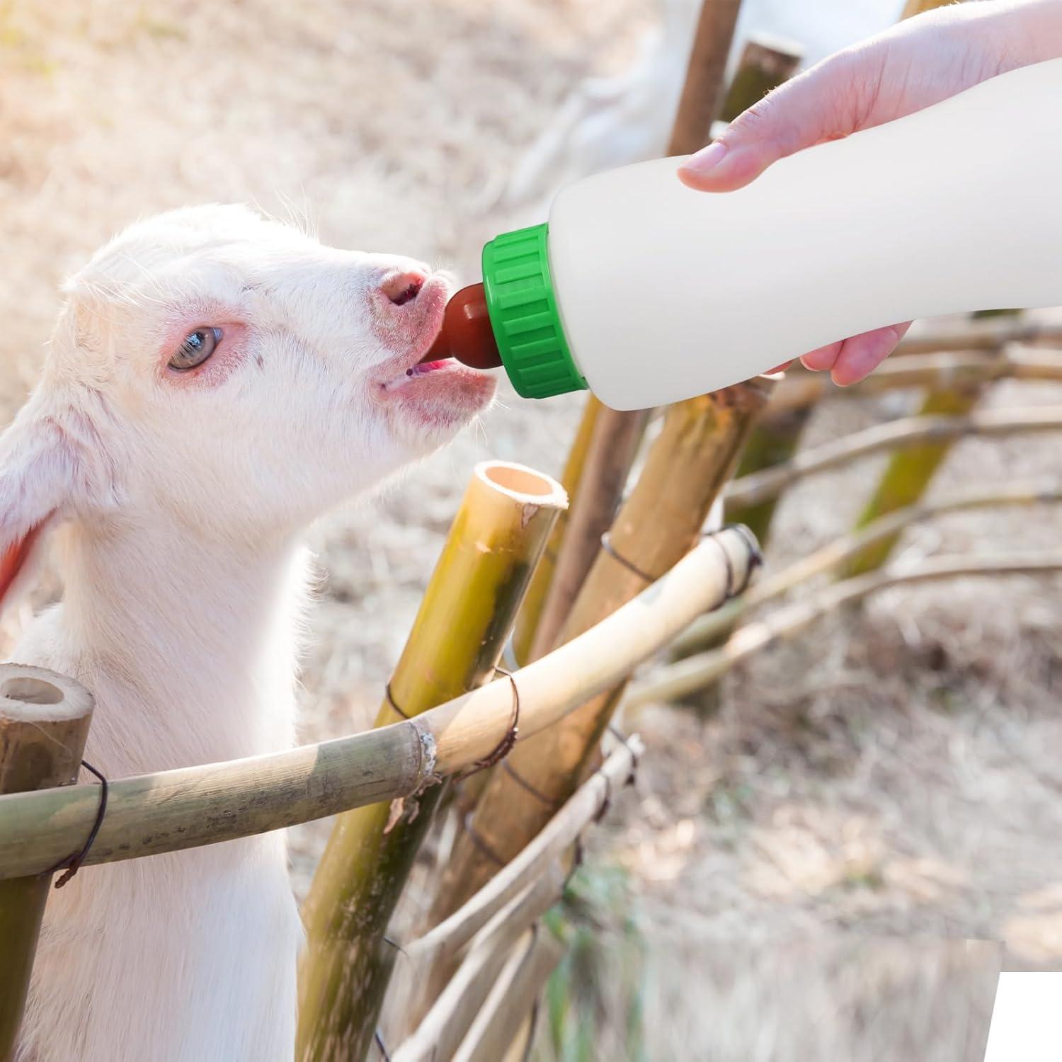 Botella de Alimentación para Corderos y Cabras 500ml - 2 Piezas Reutilizables