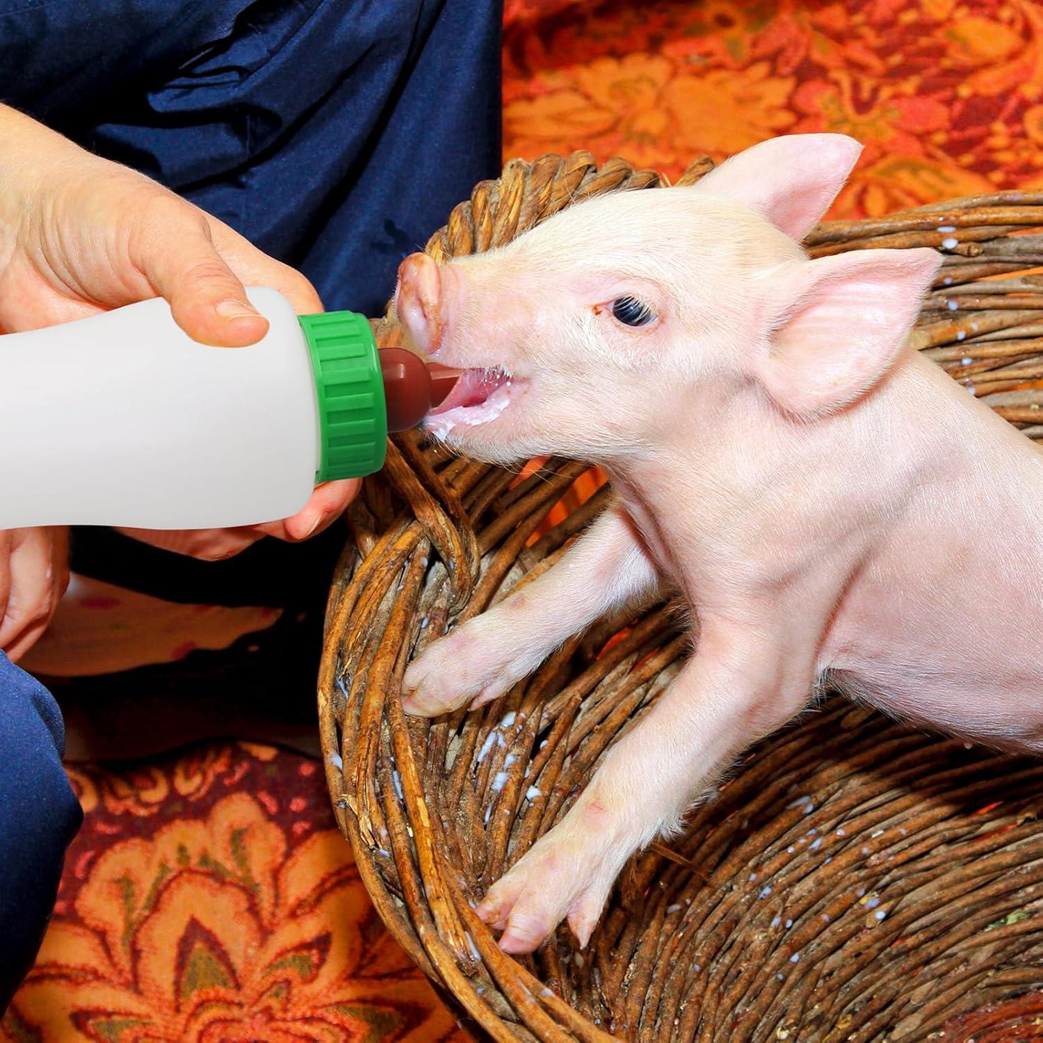 Botella de Alimentación para Corderos y Cabras 500ml - 2 Piezas Reutilizables