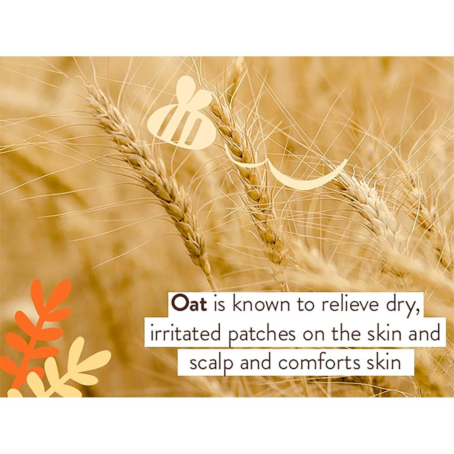 Ungüento Curativo Babo Botanicals 99% Orgánico para Bebés 113g