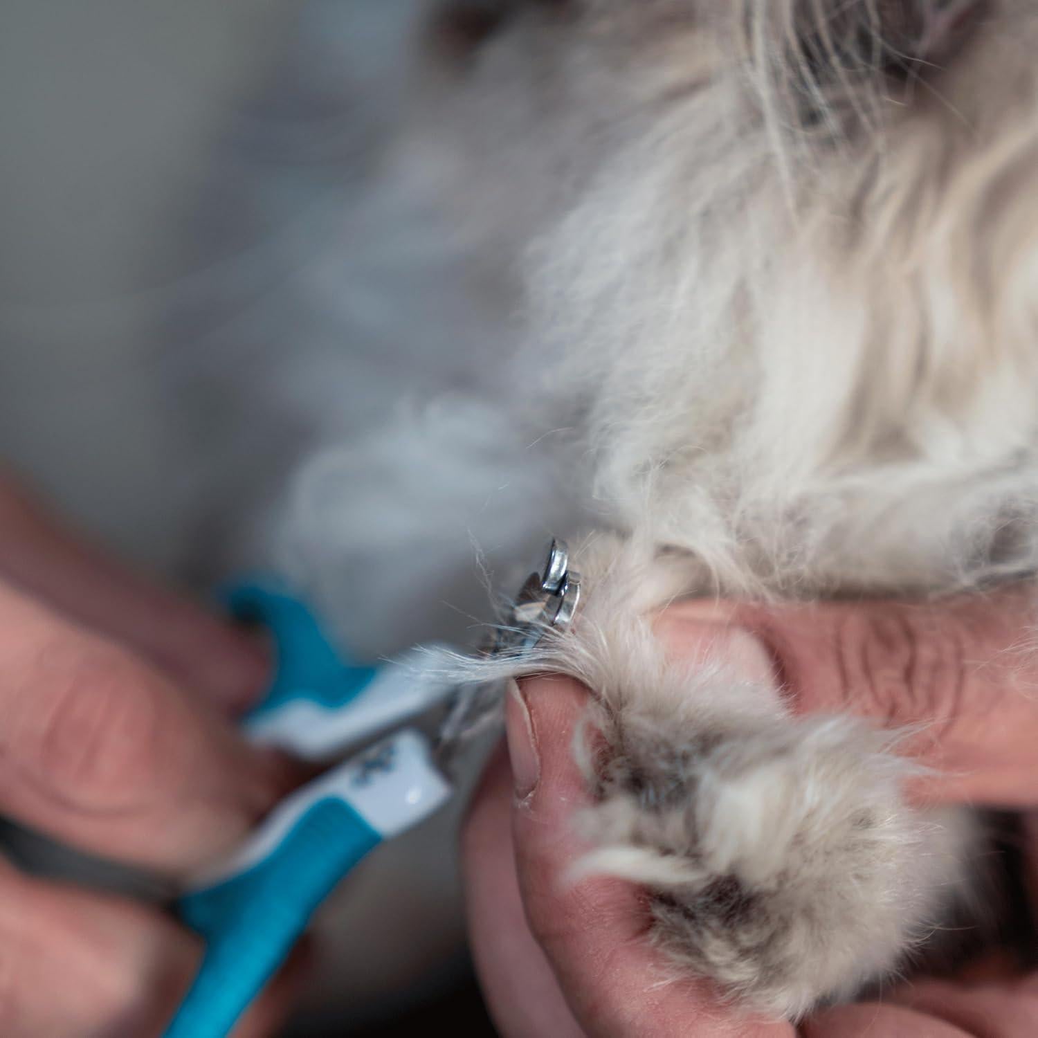 Cortador de Uñas para Gatos Mr. Pen DNT01 Azul - Corte Preciso