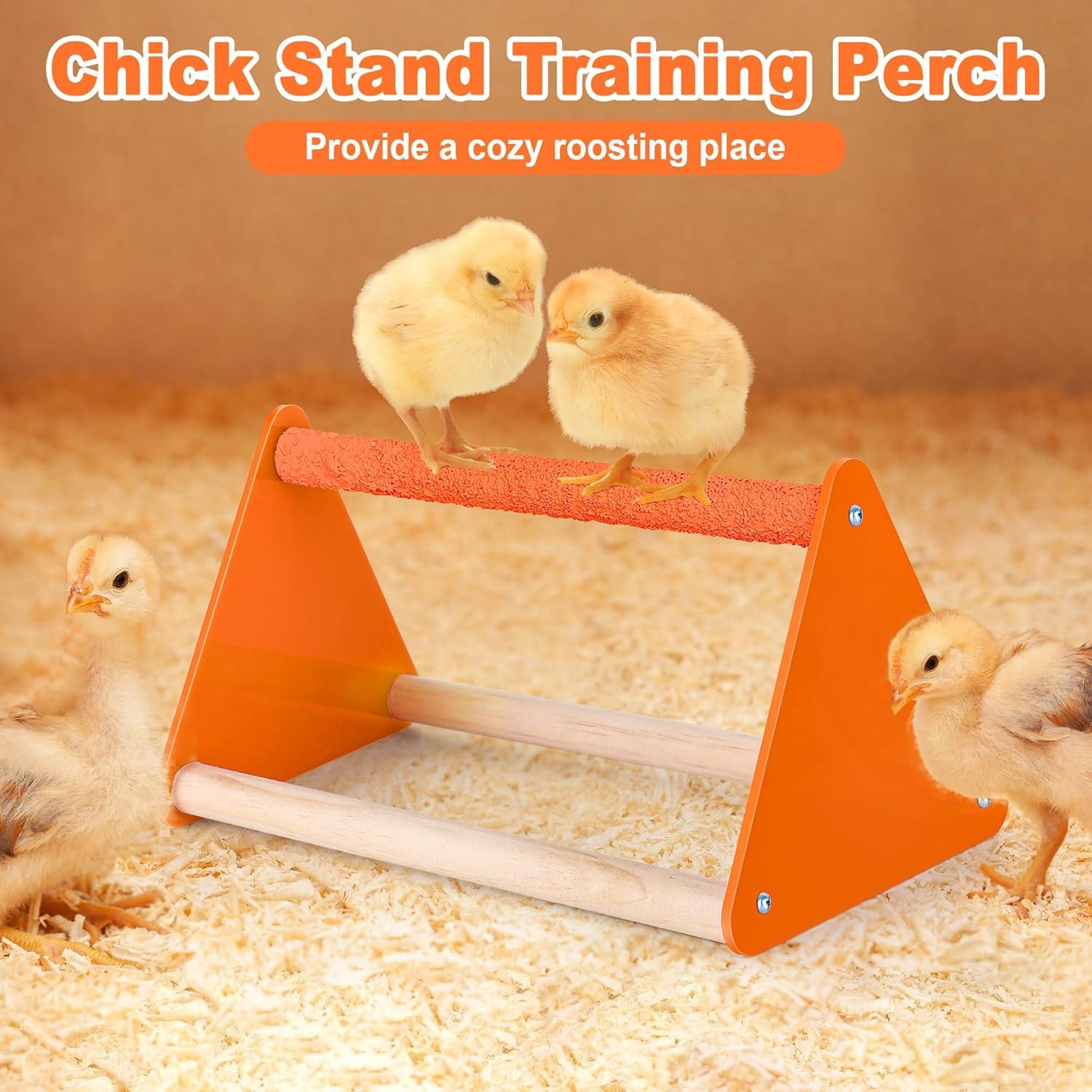 Conjunto Comedero y Bebedero Pollo POMINEL Naranja 0.45 kg