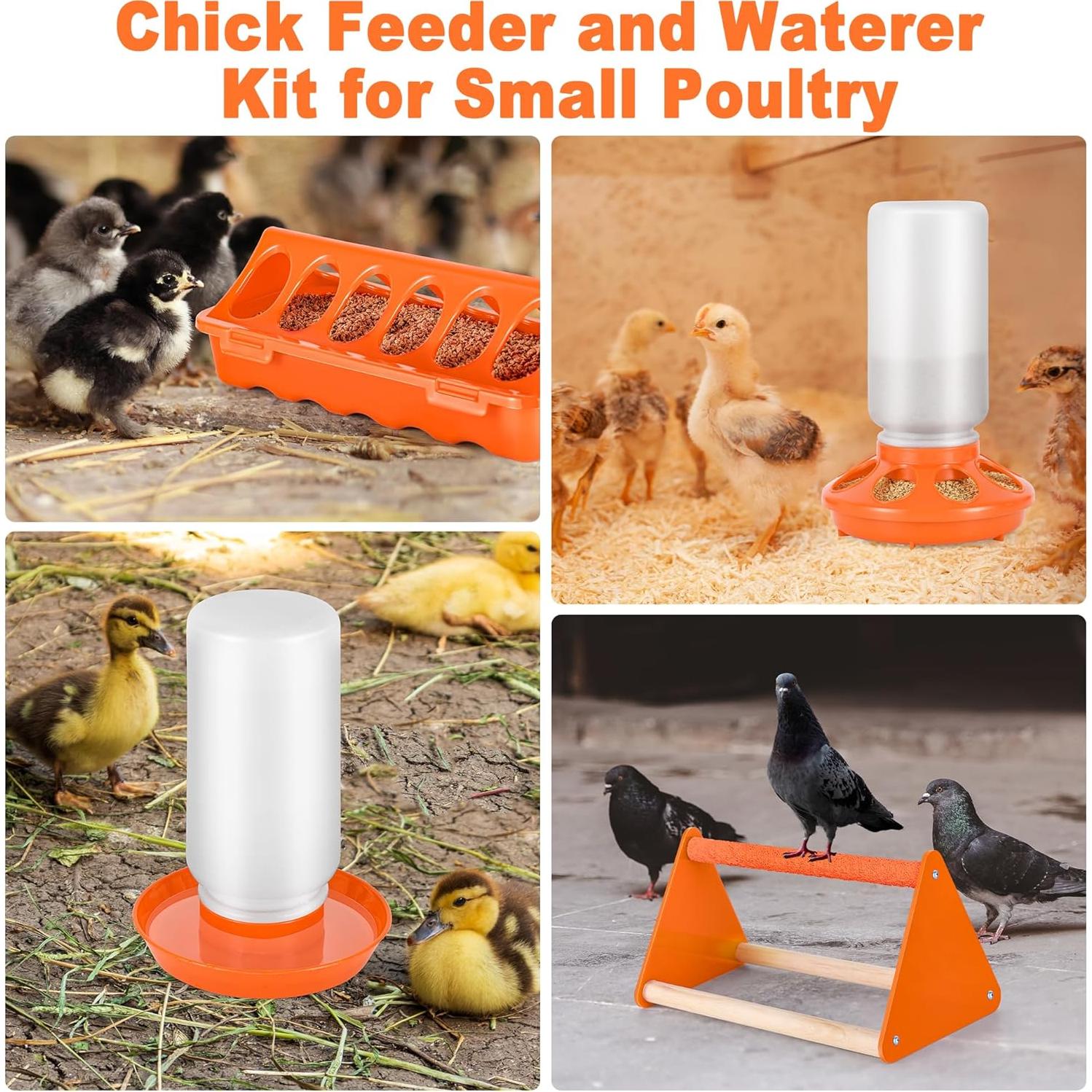 Conjunto Comedero y Bebedero Pollo POMINEL Naranja 0.45 kg