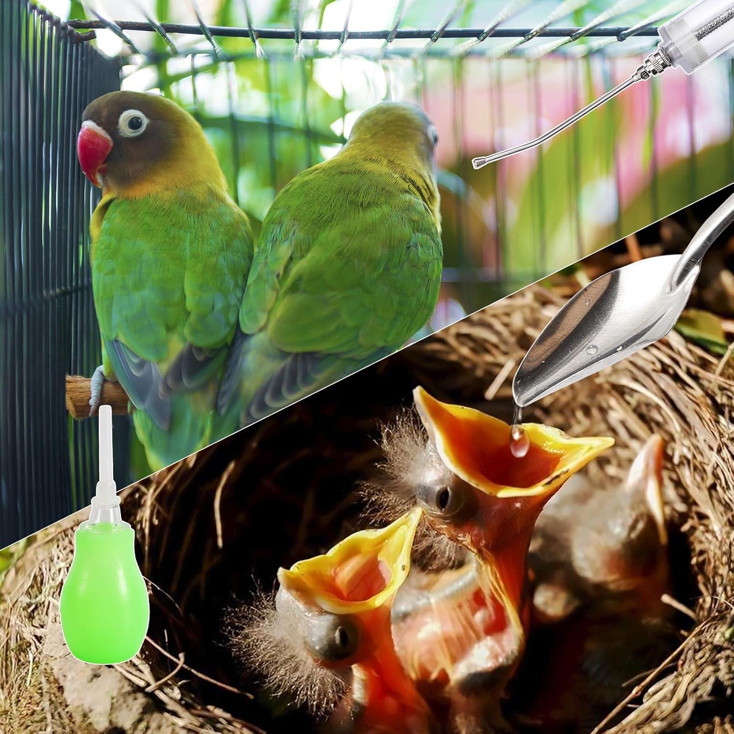 Kit de Jeringa para Alimentar Aves 50ML FULAIERGD con Tubos