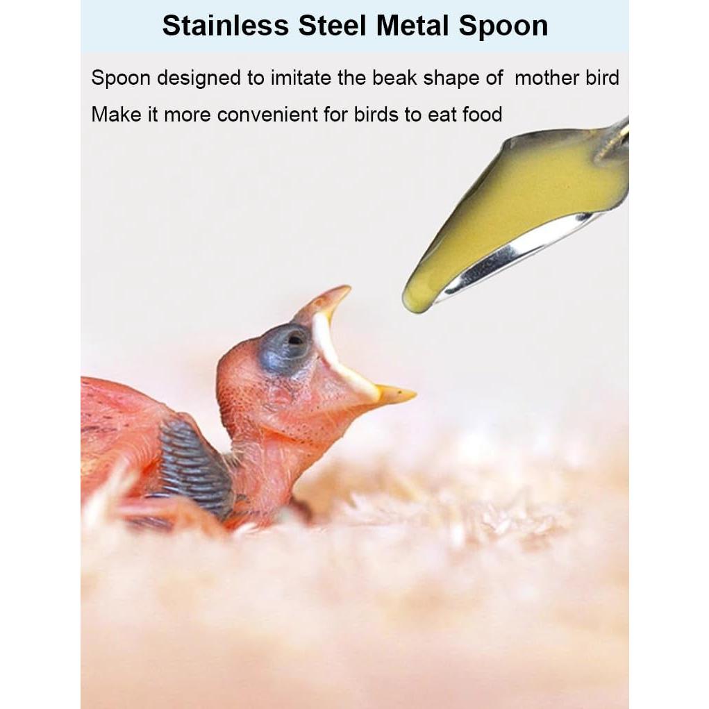 Juego de 5 Jeringas de Alimentación para Pájaros Hiflyer