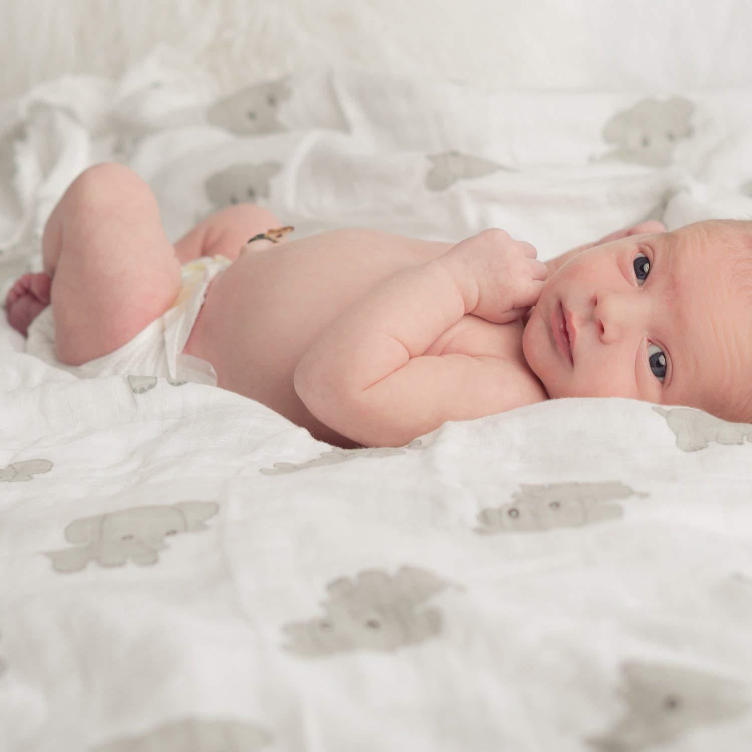 Mantas de Muselina CuddleBug 4 Piezas 119x119 cm Amigos Safari