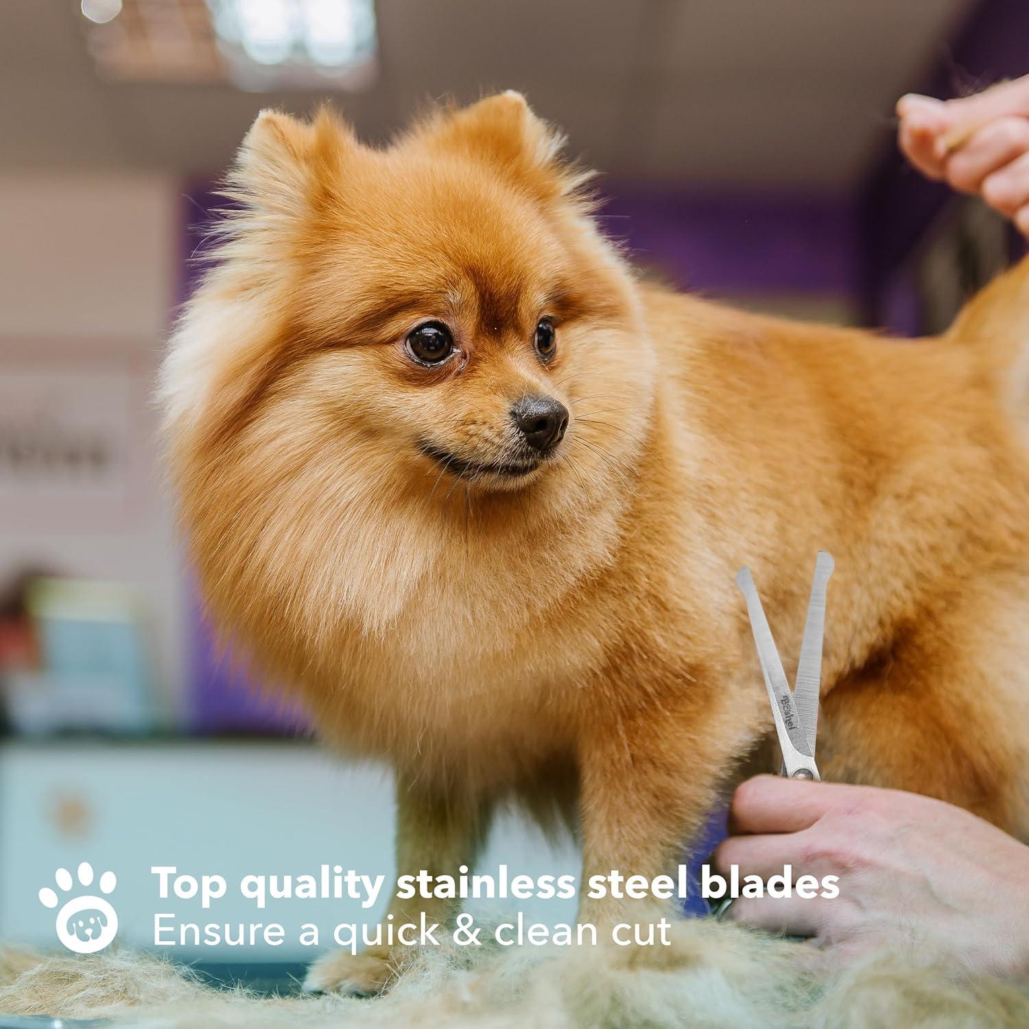 Tijeras de Aseo para Perros BOSHEL - Juego 2 Piezas Inoxidable