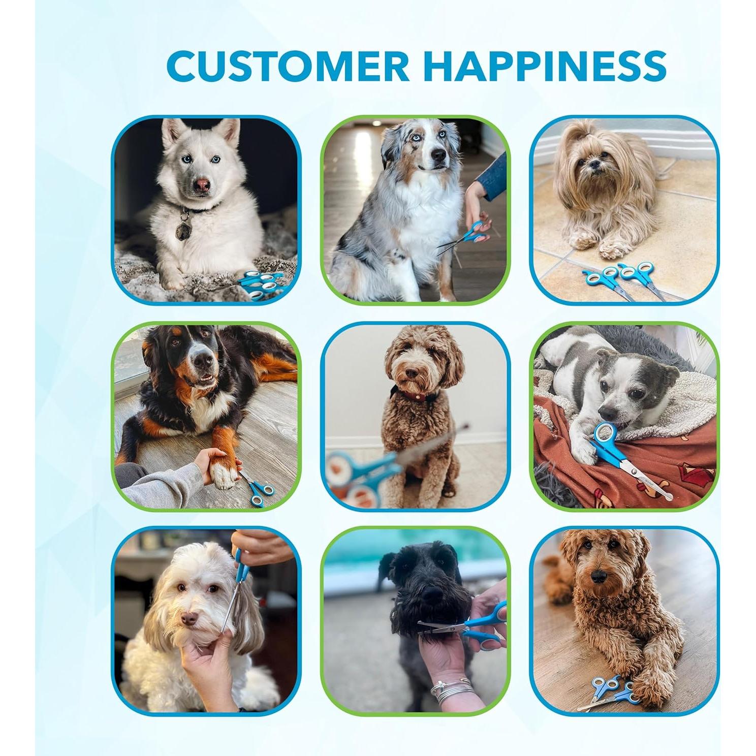 Tijeras de Aseo para Perros BOSHEL - Juego 2 Piezas Inoxidable