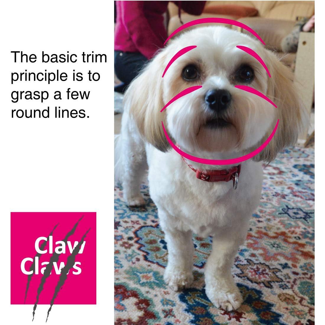 Tijeras de Aseo para Mascotas Claw Claws 15 cm Punta Redonda