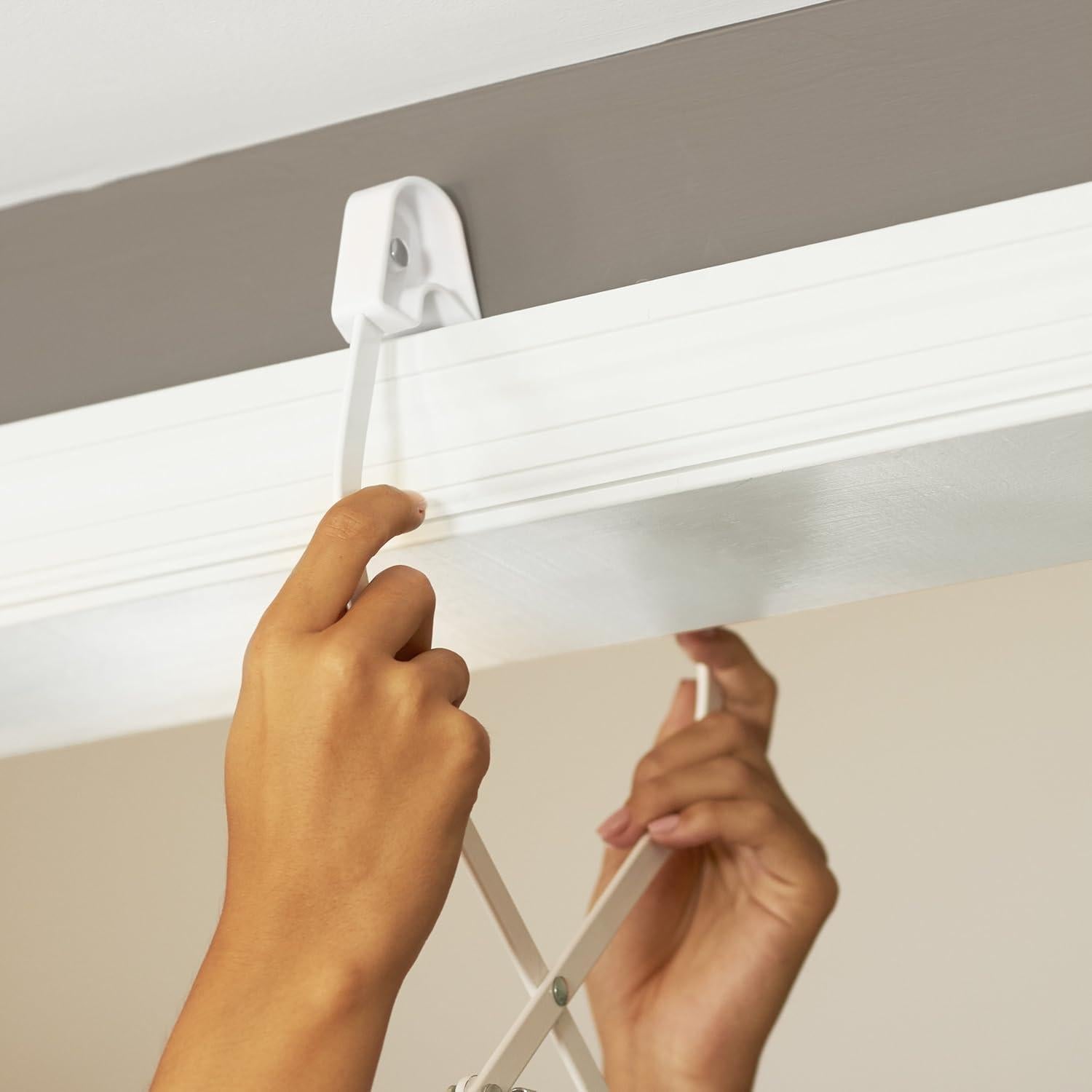 Saltador de puerta Evenflo Johnny Jumper Búho 1.22 kg