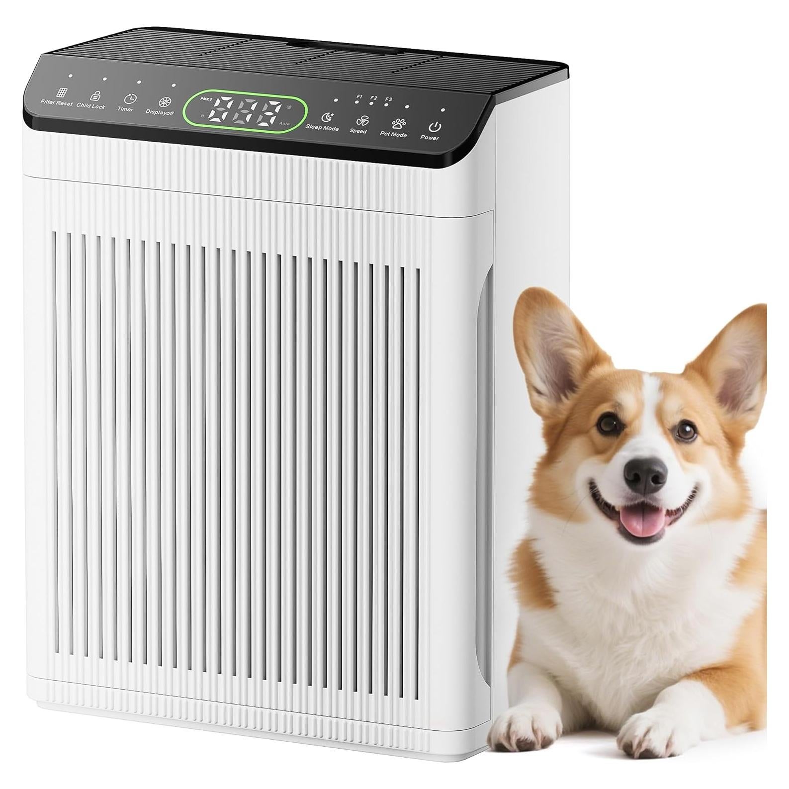 Purificador de Aire EVALIT para Habitaciones Grandes 204m²