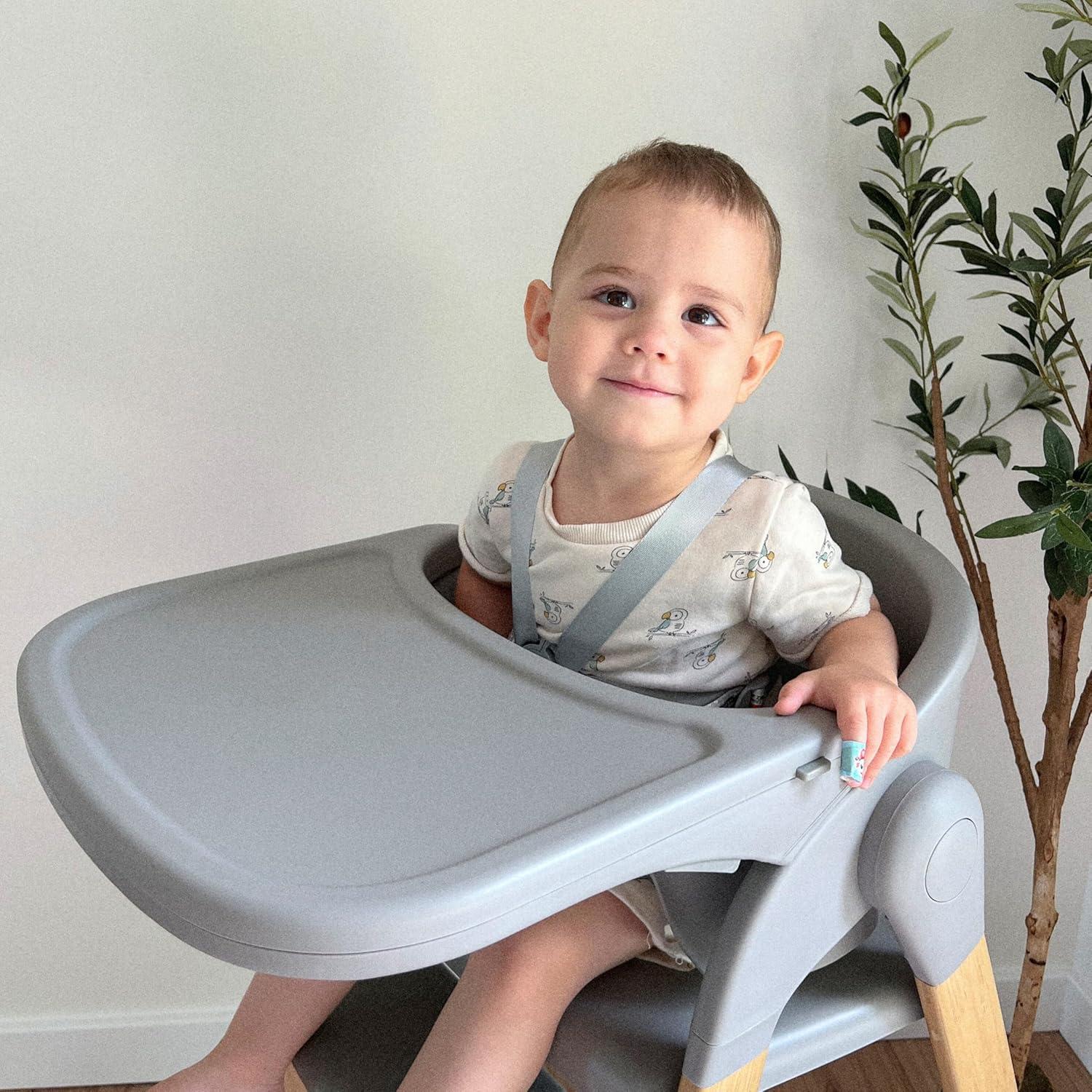 Silla Alta Evolur Nimbus Gris Oscuro con Arnés de Seguridad