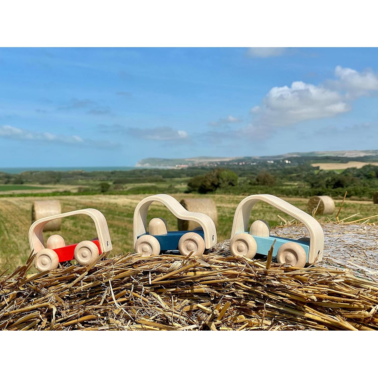 PlanToys Vroom Car Juguete de Empuje de Madera Ecológico