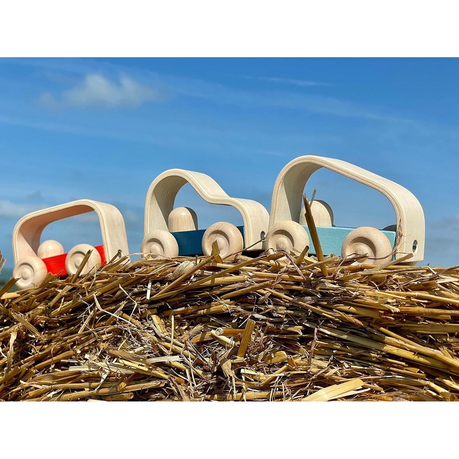 PlanToys Vroom Car Juguete de Empuje de Madera Ecológico