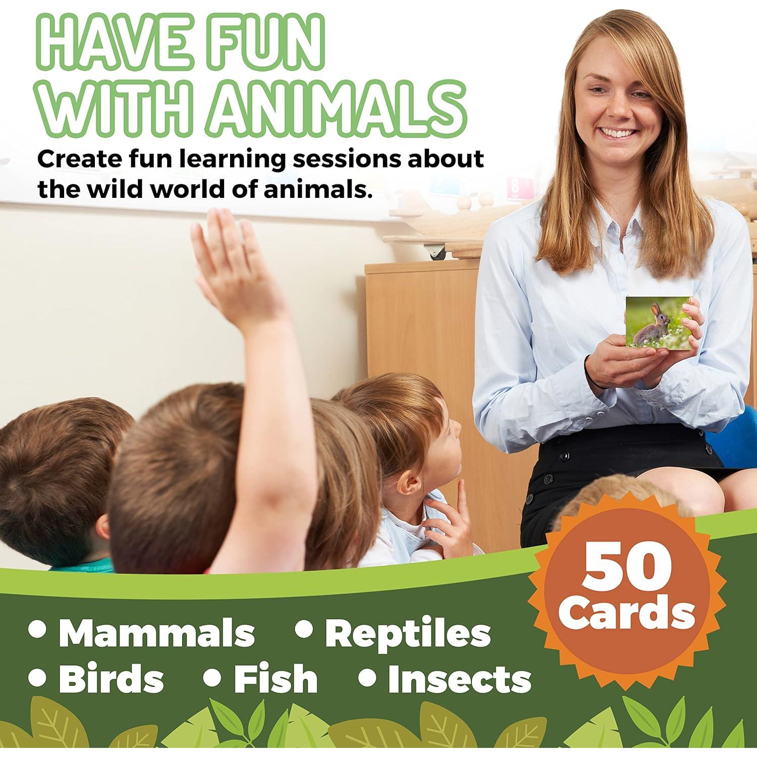 50 Tarjetas de Flash de Animales CreateFun - Aprendizaje Divertido