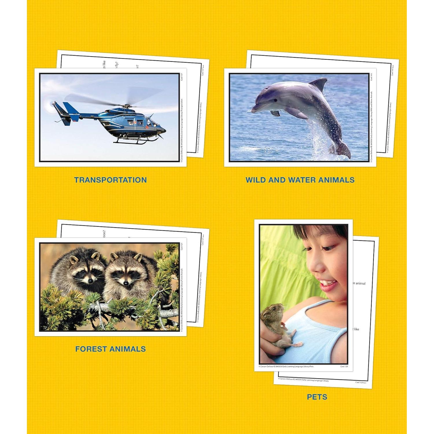 Tarjetas de Flash Fotográficas Key Education 160 Piezas 3+