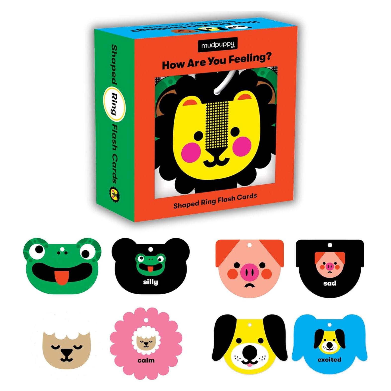 Tarjetas de Flash Mudpuppy ¿Cómo te sientes? 10 Piezas