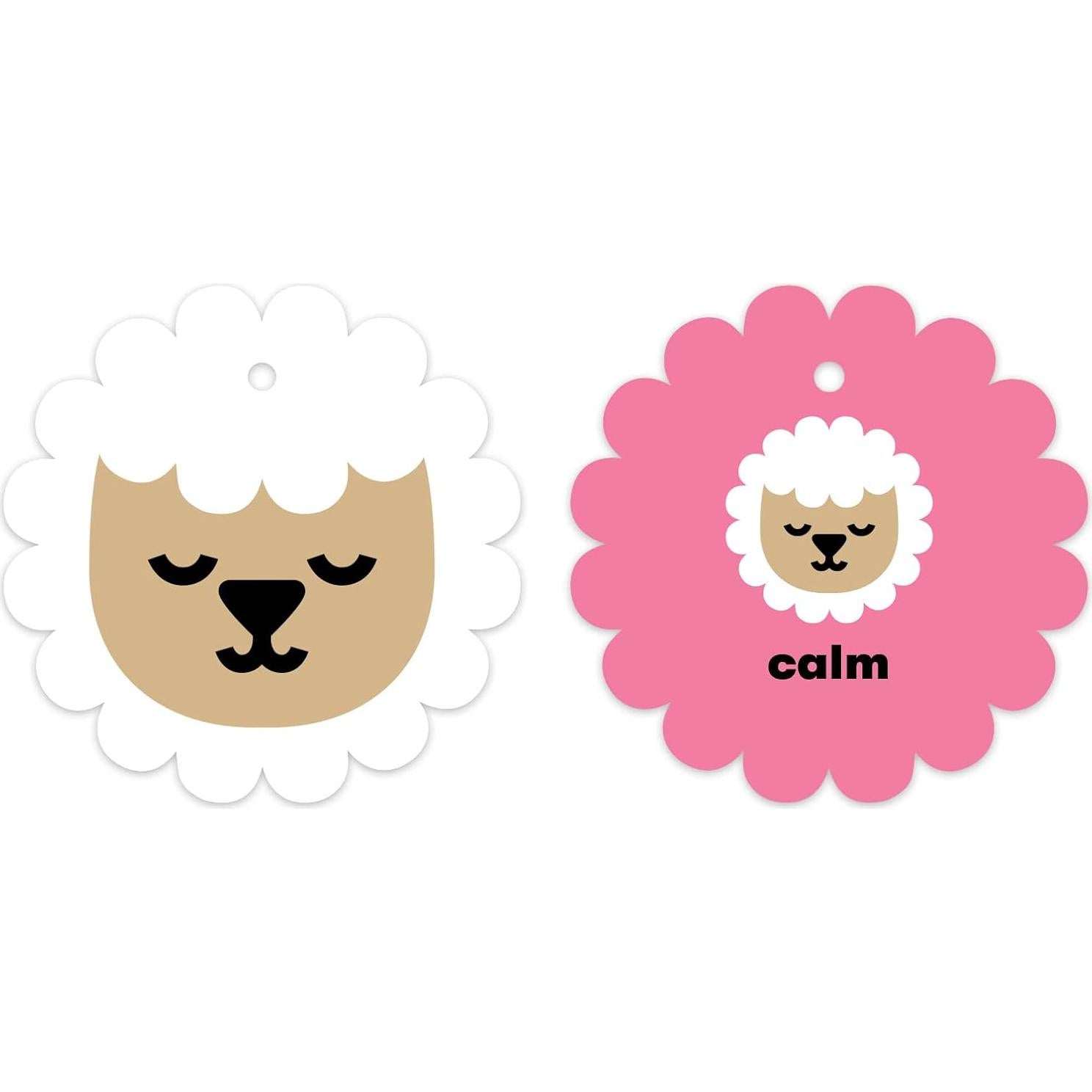 Tarjetas de Flash Mudpuppy ¿Cómo te sientes? 10 Piezas