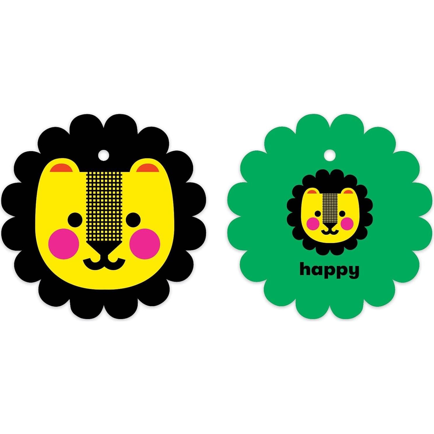 Tarjetas de Flash Mudpuppy ¿Cómo te sientes? 10 Piezas