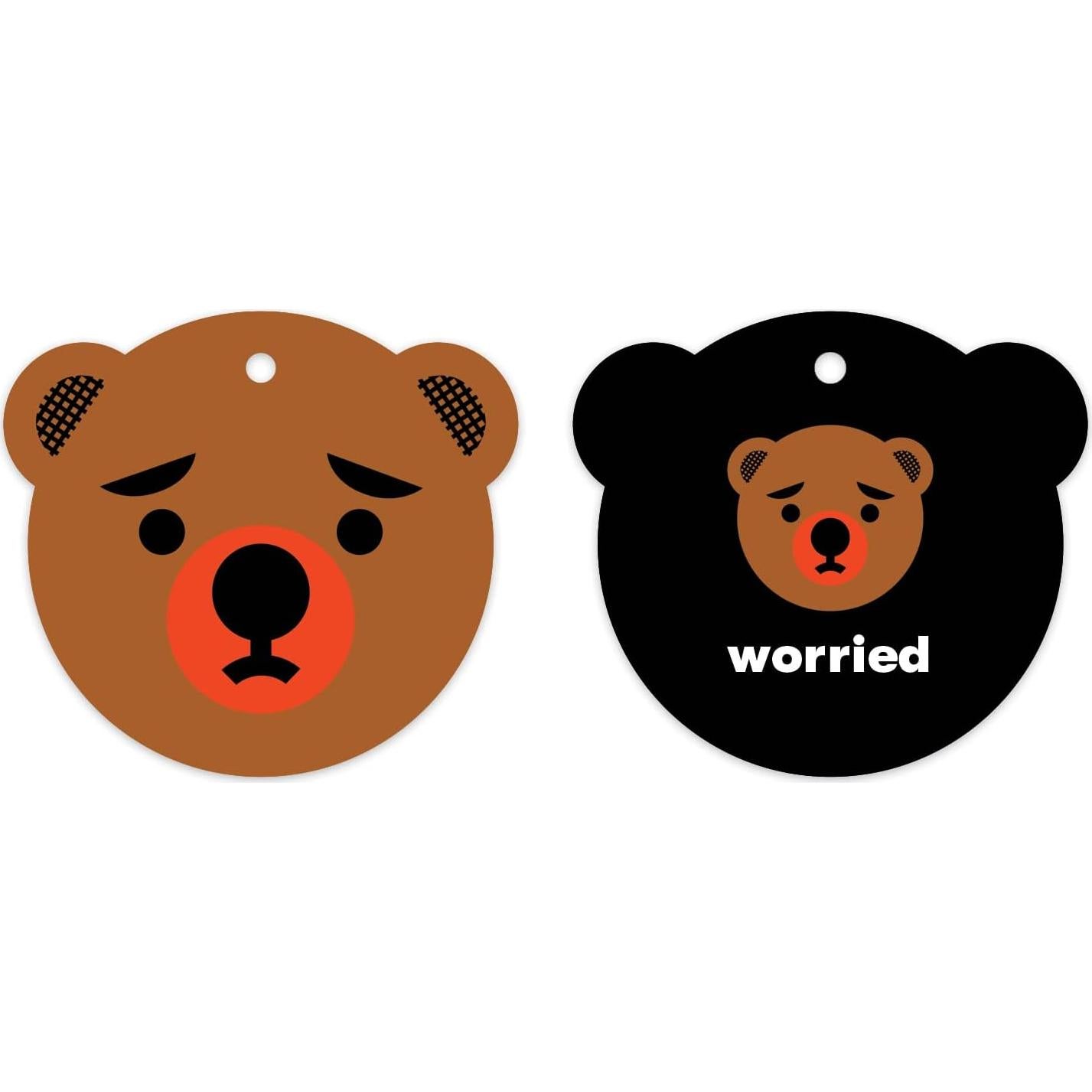 Tarjetas de Flash Mudpuppy ¿Cómo te sientes? 10 Piezas