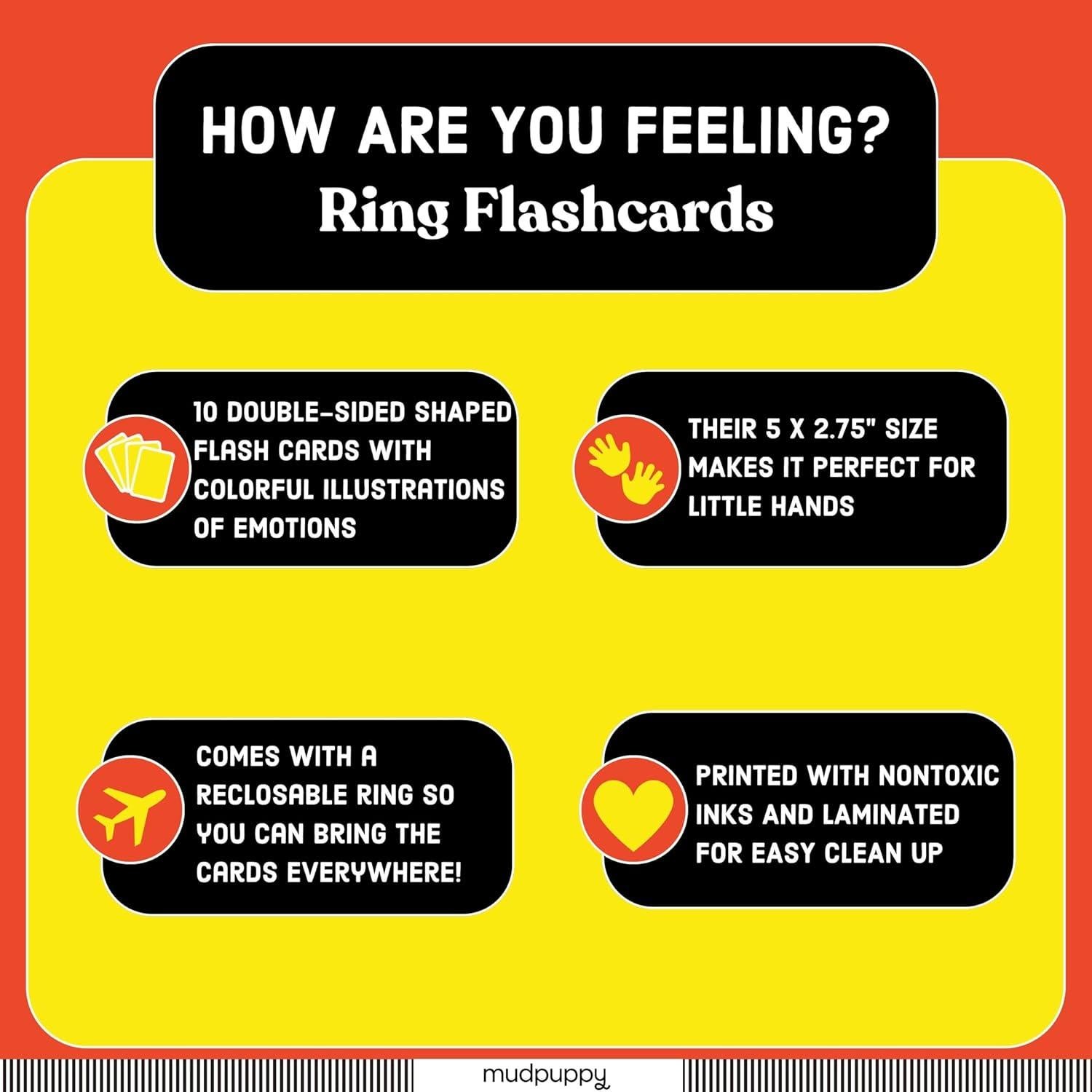 Tarjetas de Flash Mudpuppy ¿Cómo te sientes? 10 Piezas