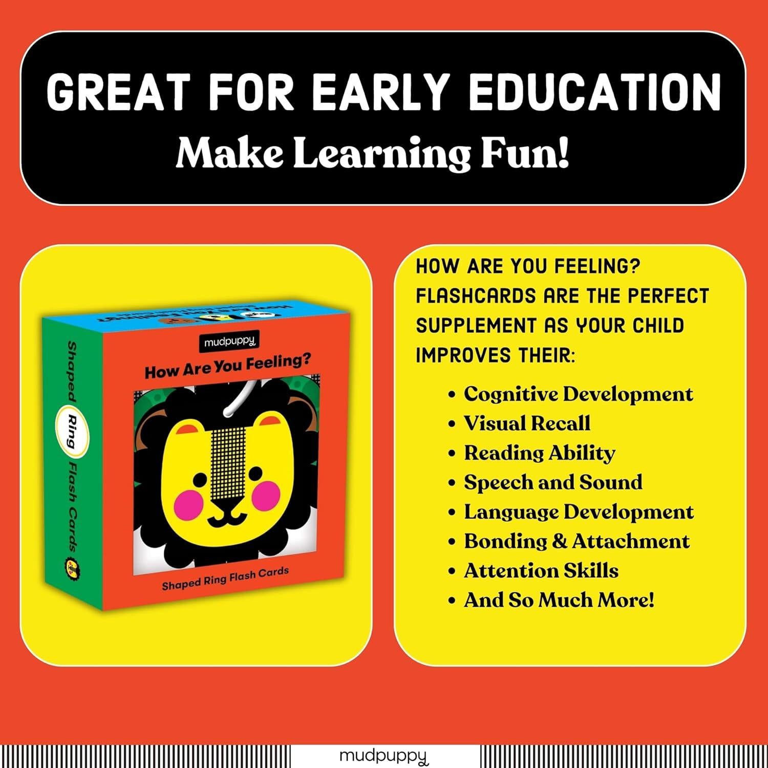 Tarjetas de Flash Mudpuppy ¿Cómo te sientes? 10 Piezas