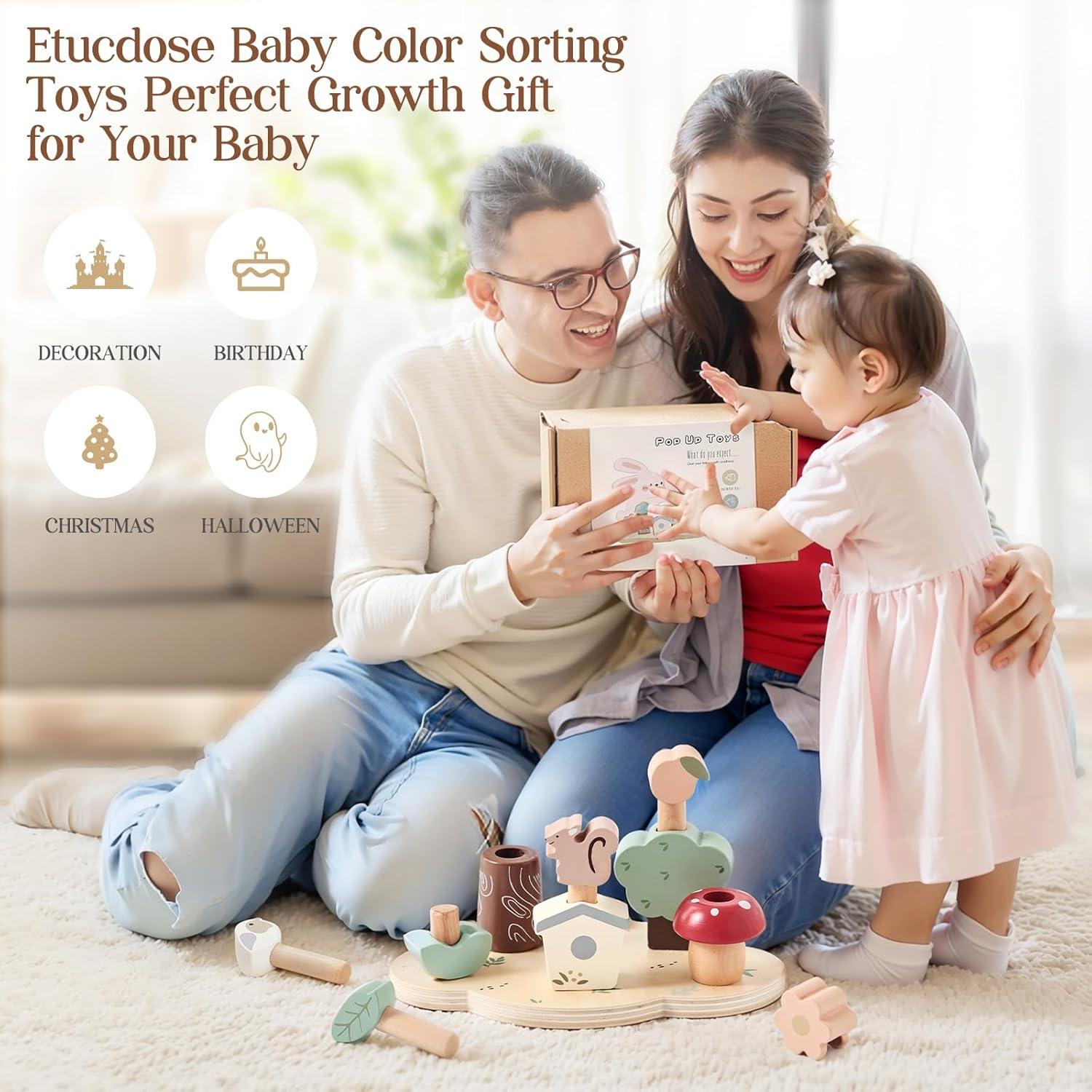 Juguete Pop Up de Clasificación de Colores Etucdose - Madera 422g