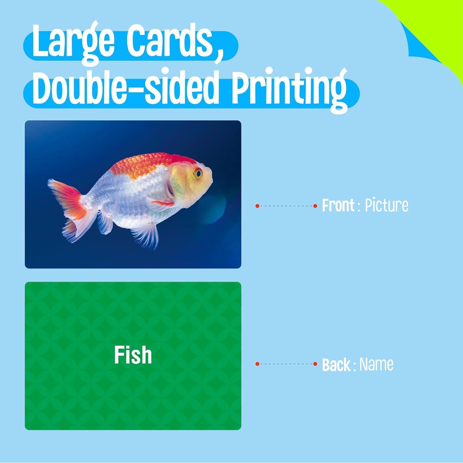 50 Tarjetas de Flash de Sustantivos SpriteGru - Aprendizaje Visual