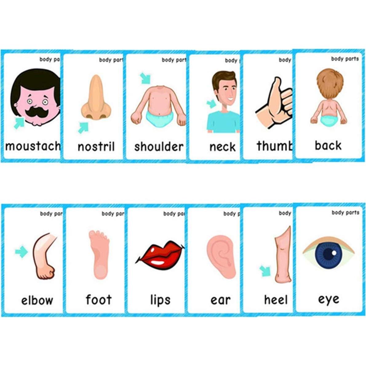 Tarjetas Didácticas SANTSUN 56 Piezas Clima y Cuerpo