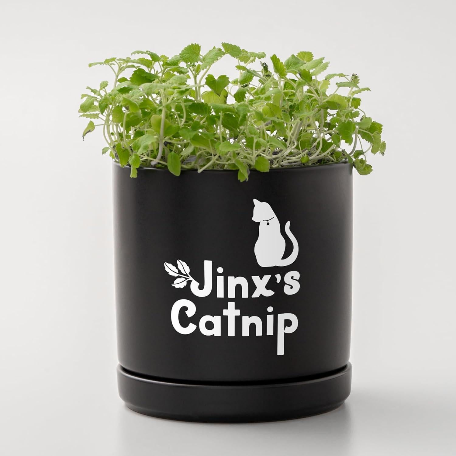 Vinilo Removible Cricut Joy Xtra Smart Blanco 24.1x91.4 cm