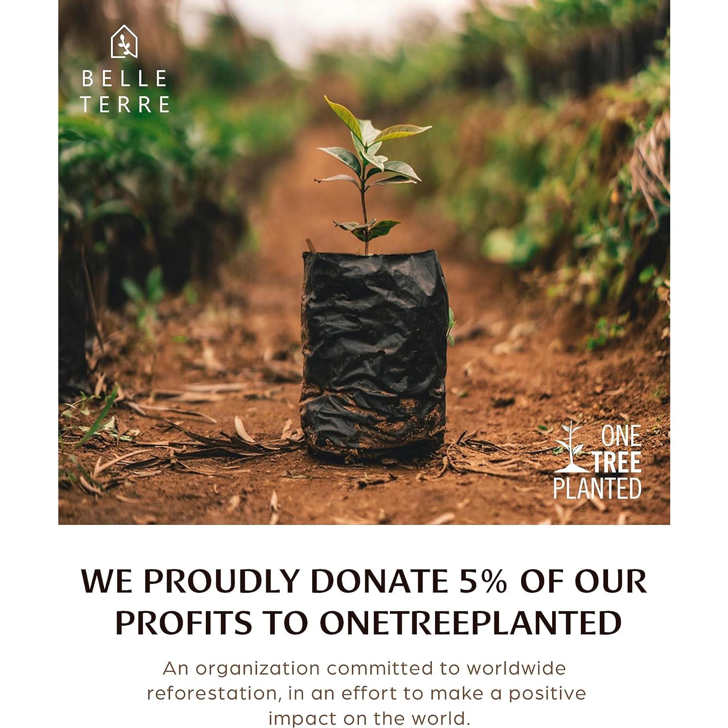 Juego de Sábanas de Viscosa Bambú Belle Terre California King