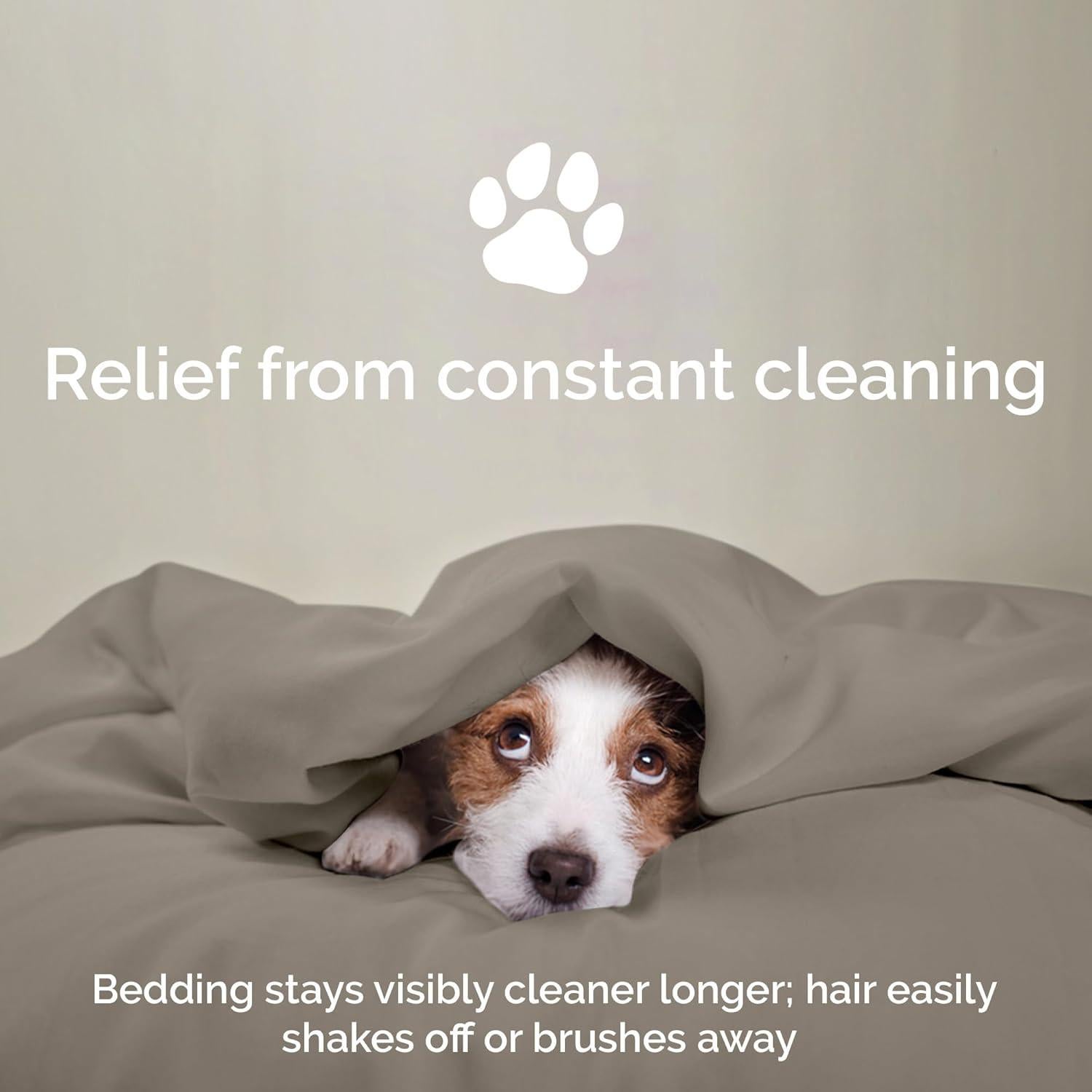 Juego de Sábanas Queen Bamtek 100% Viscosa de Bambú Arena