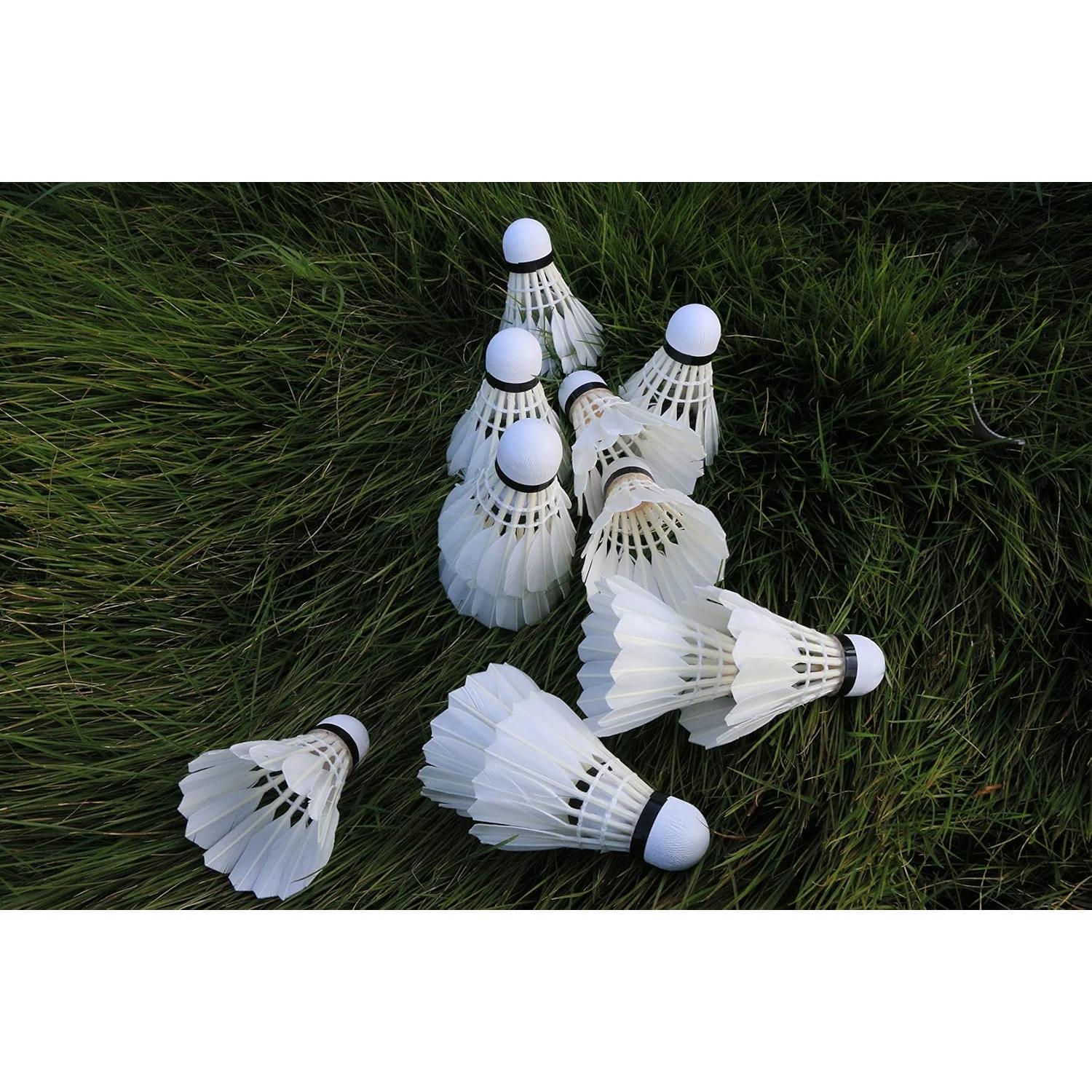 Paquete de 12 Volantes de Bádminton Larumsport - Alta Velocidad