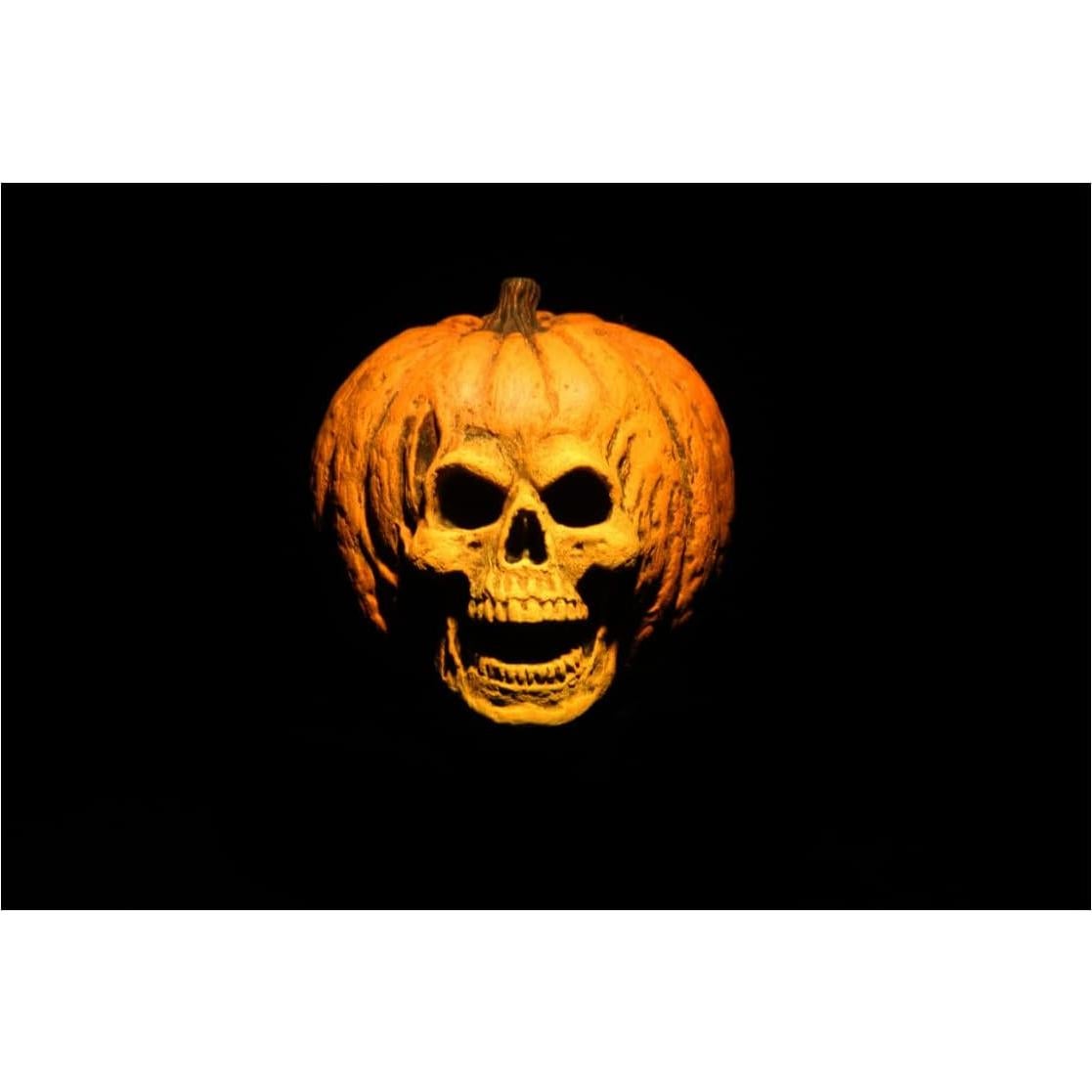 Figuras de Acción NECA Halloween 2 Dr. Loomis y Laurie Strode 2-pack