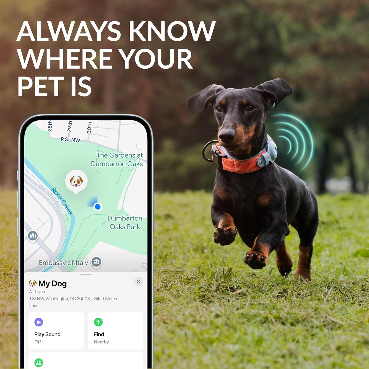 Collar para Perros Airtag CollarDirect Ajustable Verde L