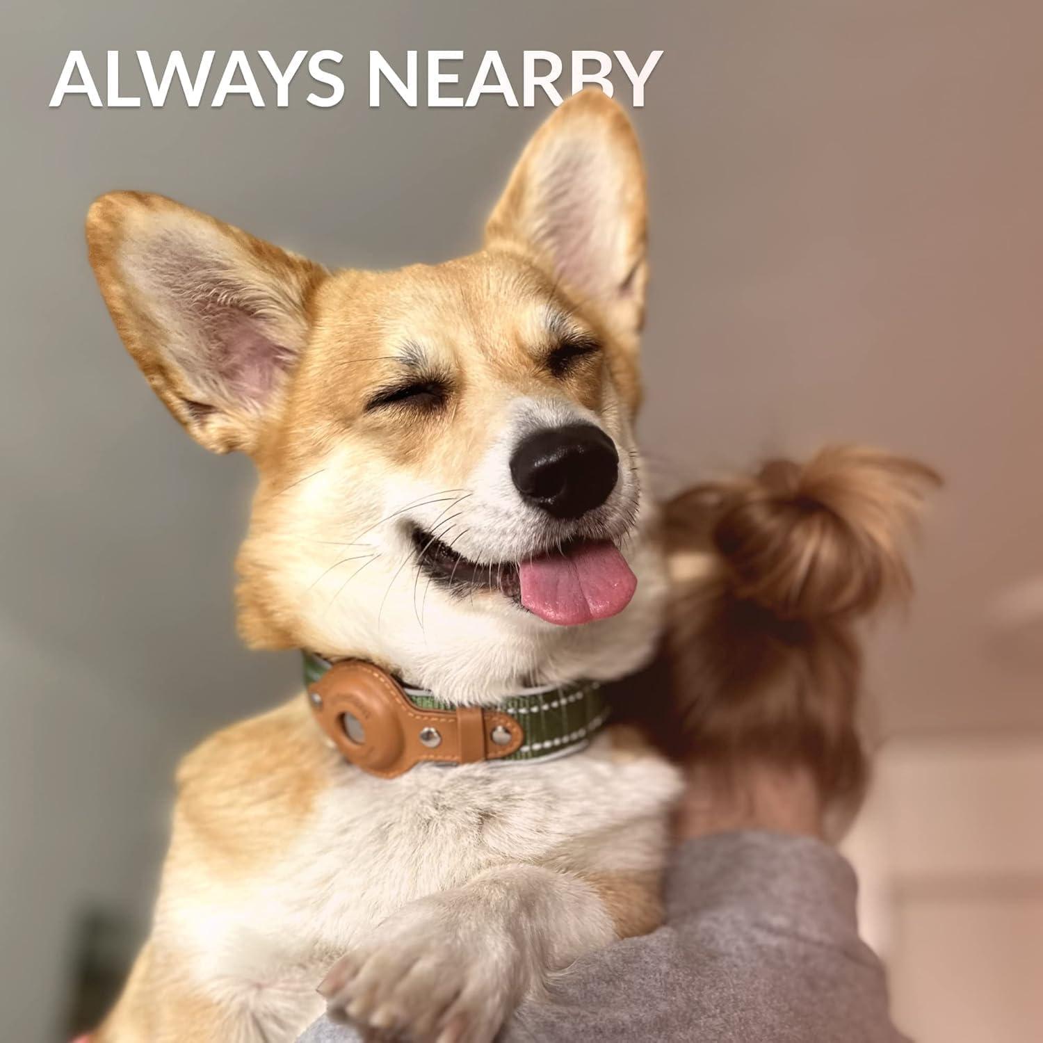 Collar para Perros Airtag CollarDirect Ajustable Verde L