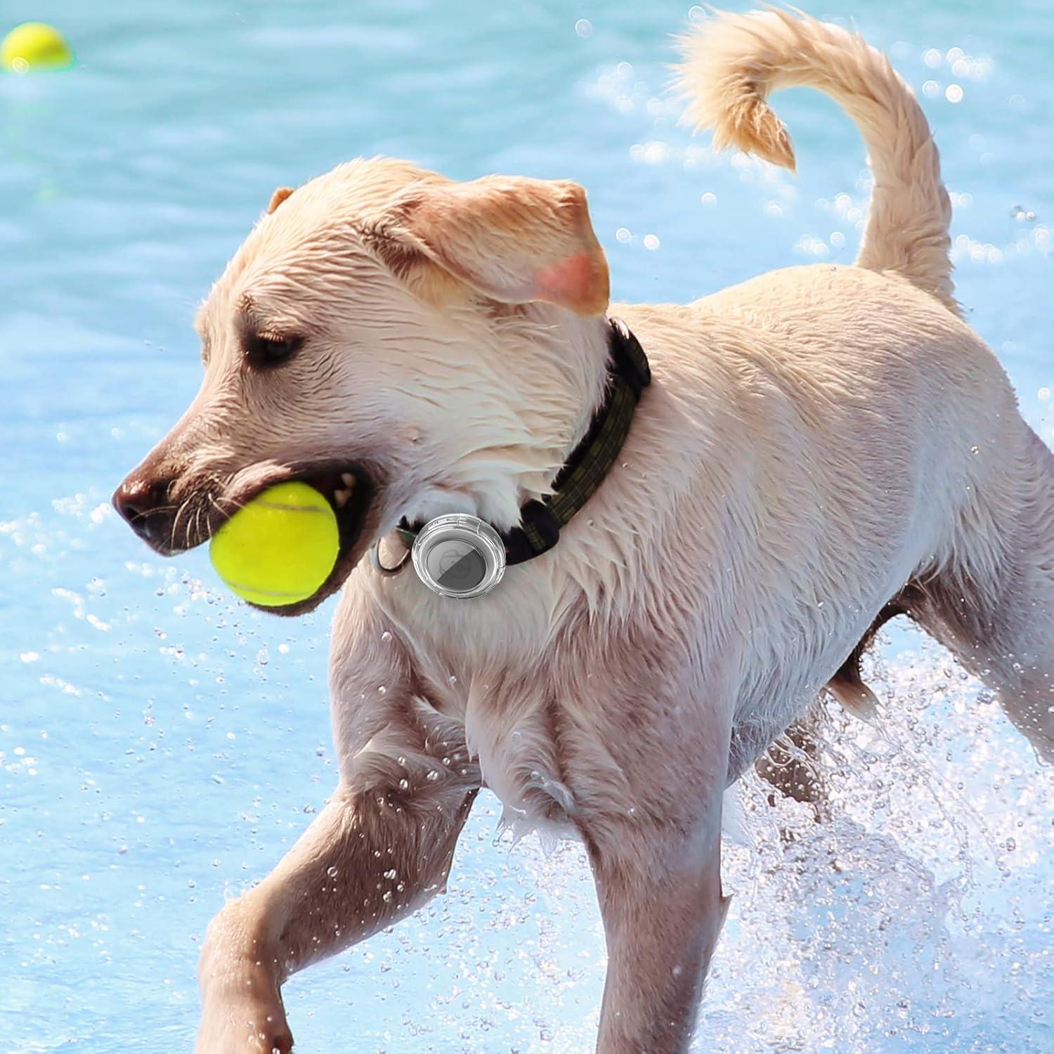 Soporte para Collar de Perro Airtag Impermeable Typecase - 2 Pack