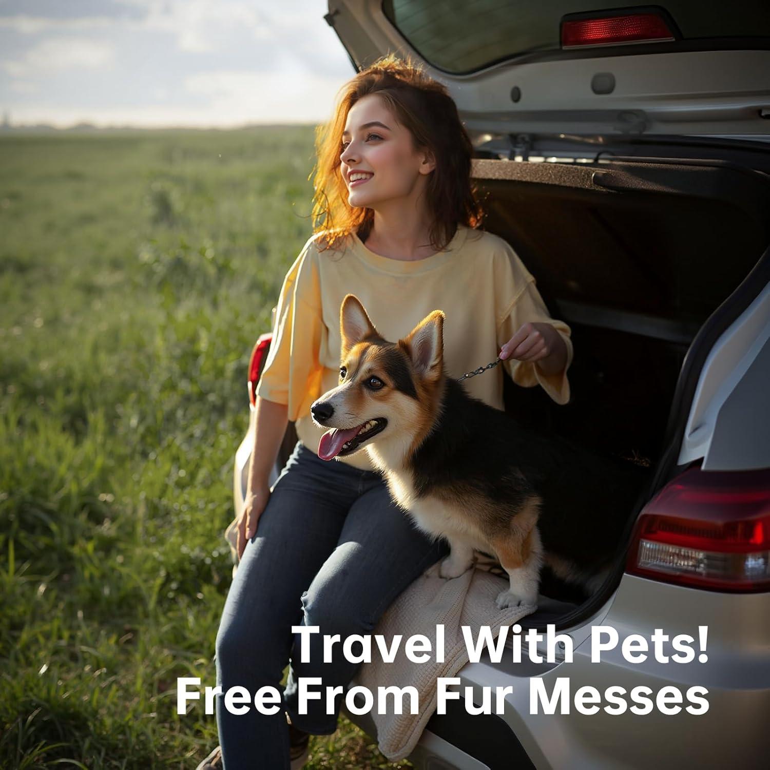 Aspiradora Portátil Wishbird V16H Inalámbrica 18000Pa 120W