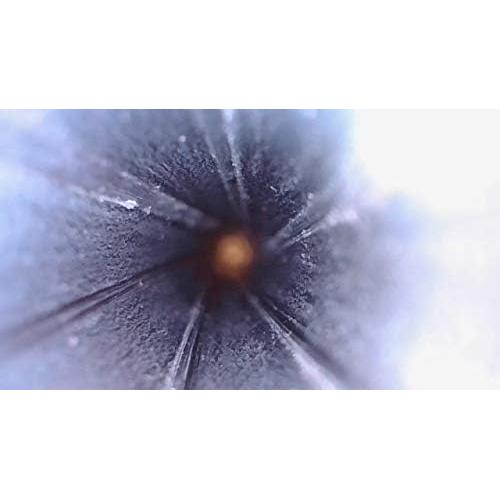 Borescope Digital USB Vividia GB-460 4mm 60cm Enfoque Manual