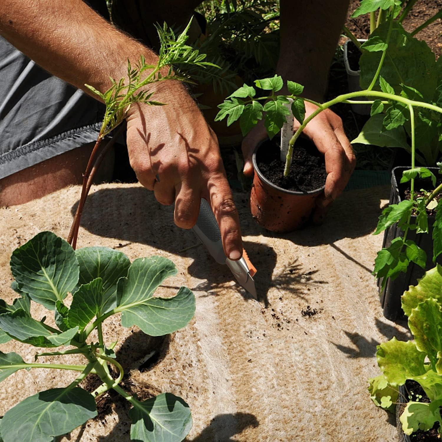 Cortador de Cajas Retráctil XW SX12-13-4S con 10 Hojas