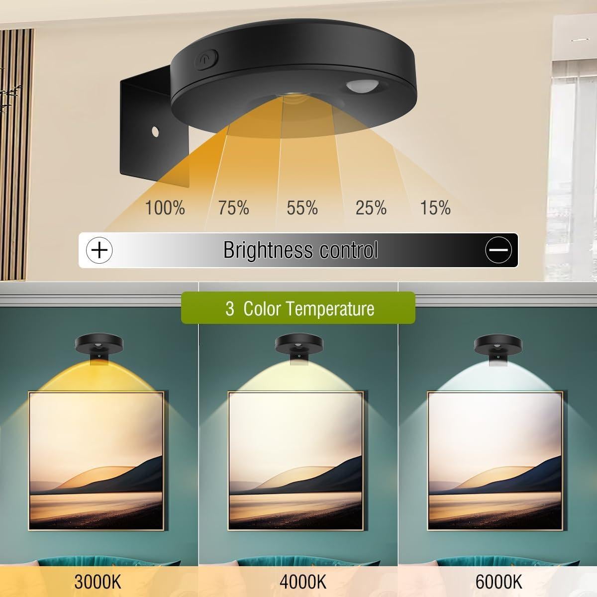 3Pack Luces LED EUIOKUN para Cuadros con Control Remoto