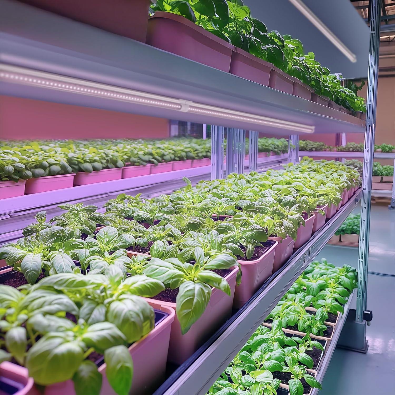 Lámpara LED de Crecimiento Barrina 4FT Espectro Completo 252W