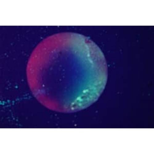 Pintura Acrílica Luminosa Glomania 30ml Blanco Brilla Rojo-Anaranjado