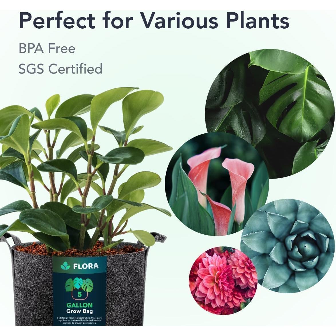 Bolsa de Crecimiento Flora 5 Galones Tela No Tejida 20L