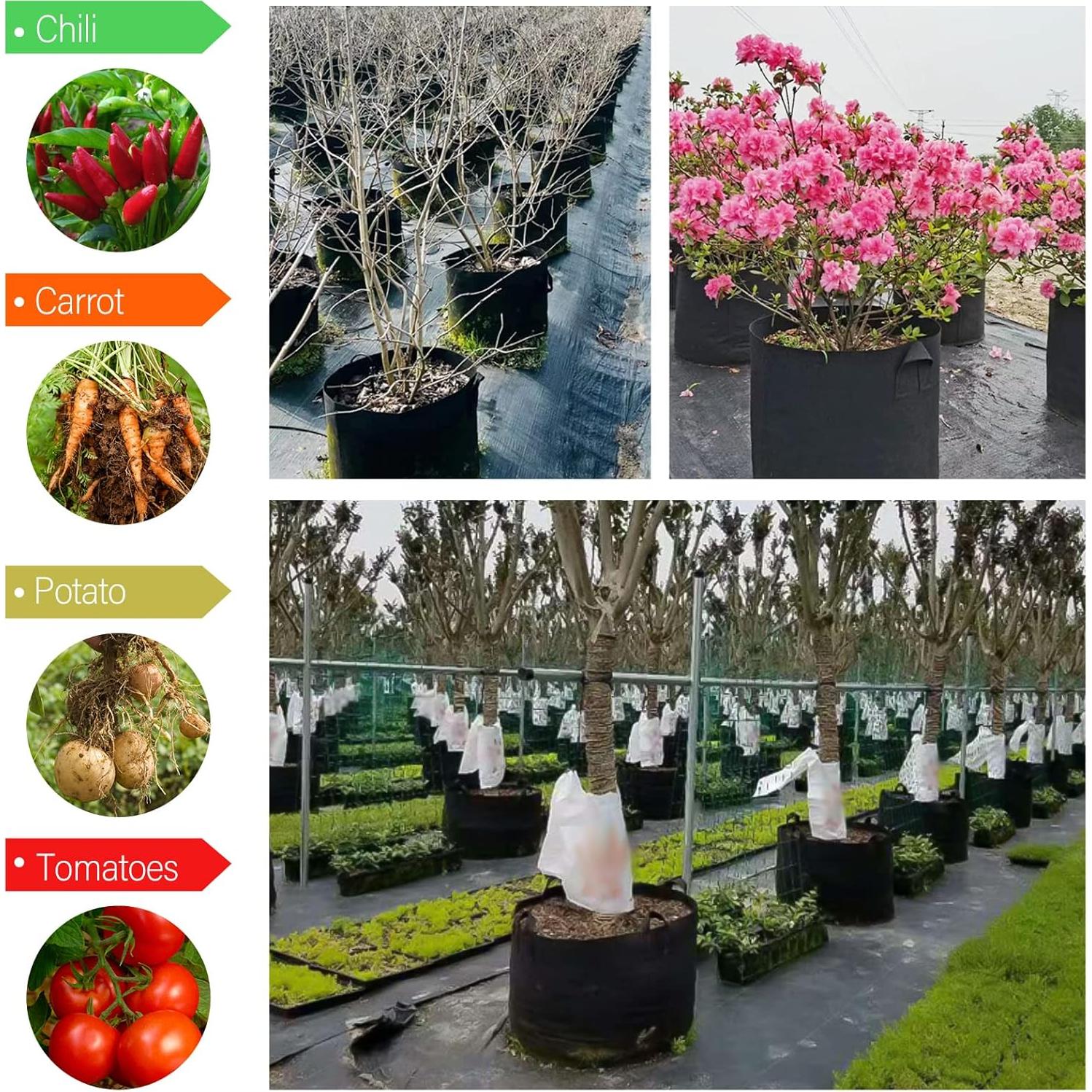 Paquete de 12 Bolsas de Crecimiento KuMers 5 Galones