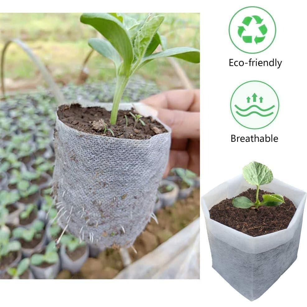 100 Bolsas de Vivero Belit 10.7cm para Plántulas - Alta Supervivencia