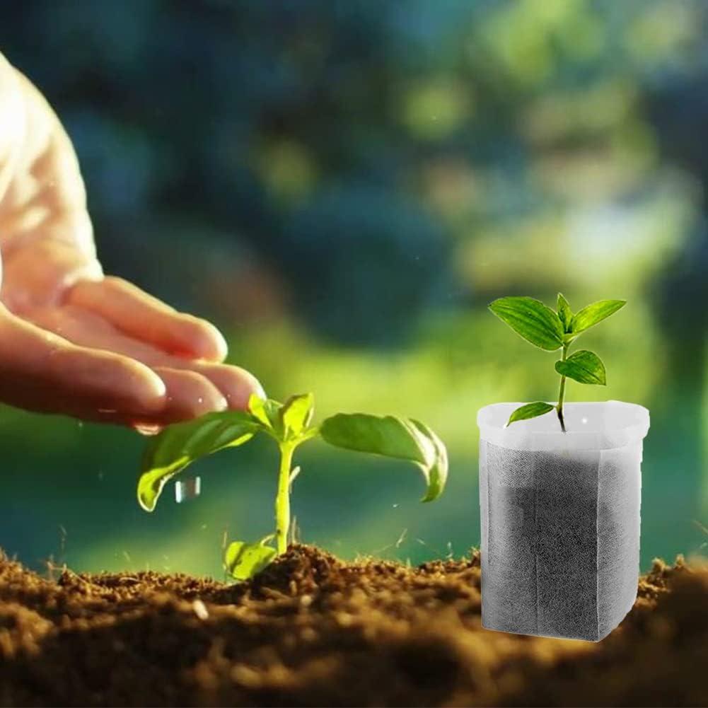 100 Bolsas de Vivero Belit 10.7cm para Plántulas - Alta Supervivencia