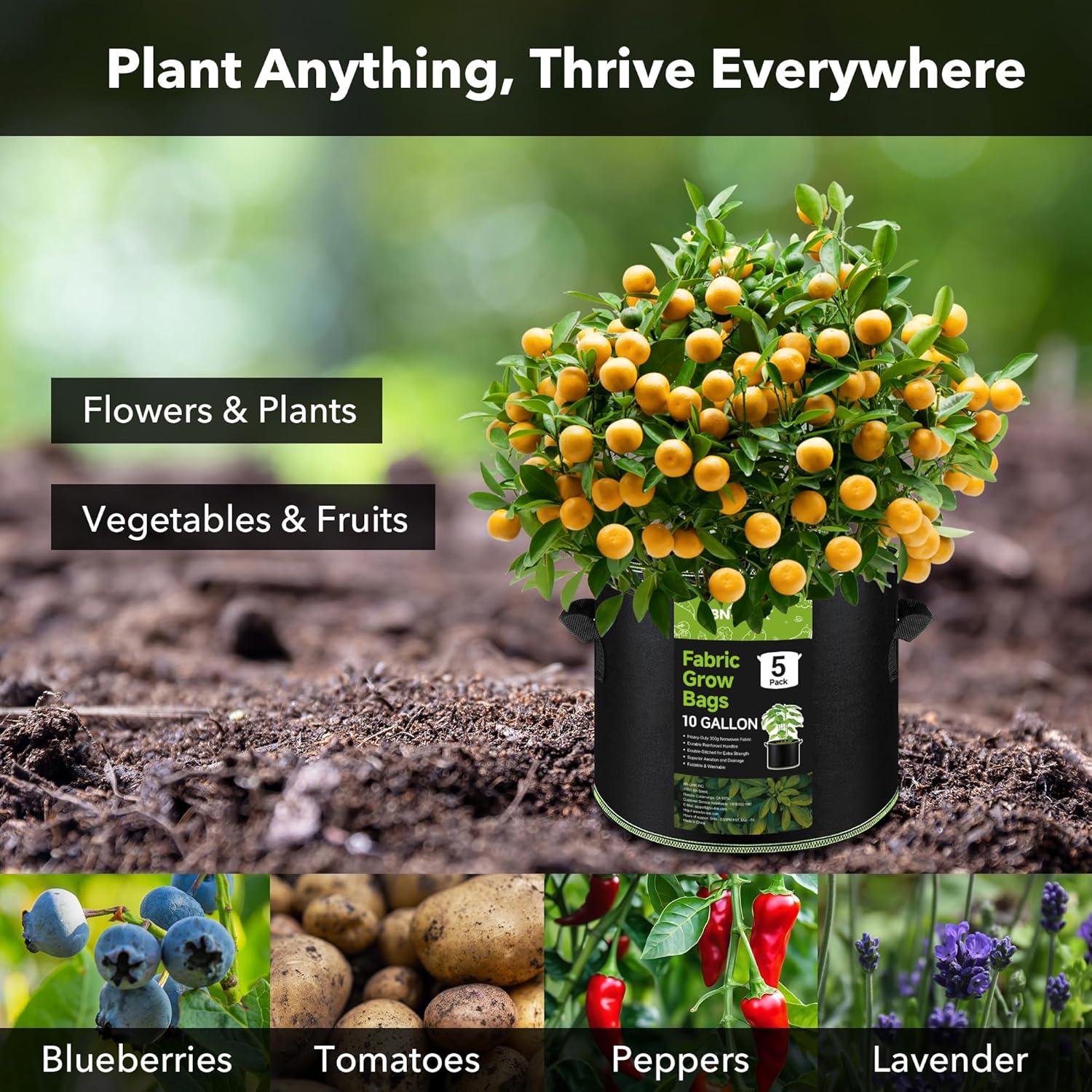 Bolsas de Cultivo de Tela BN-LINK 37.85L Paquete de 5